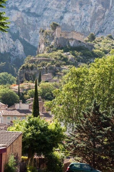 La Figuiere Fontaine De Vaucluse Bed & Breakfast ภายนอก รูปภาพ