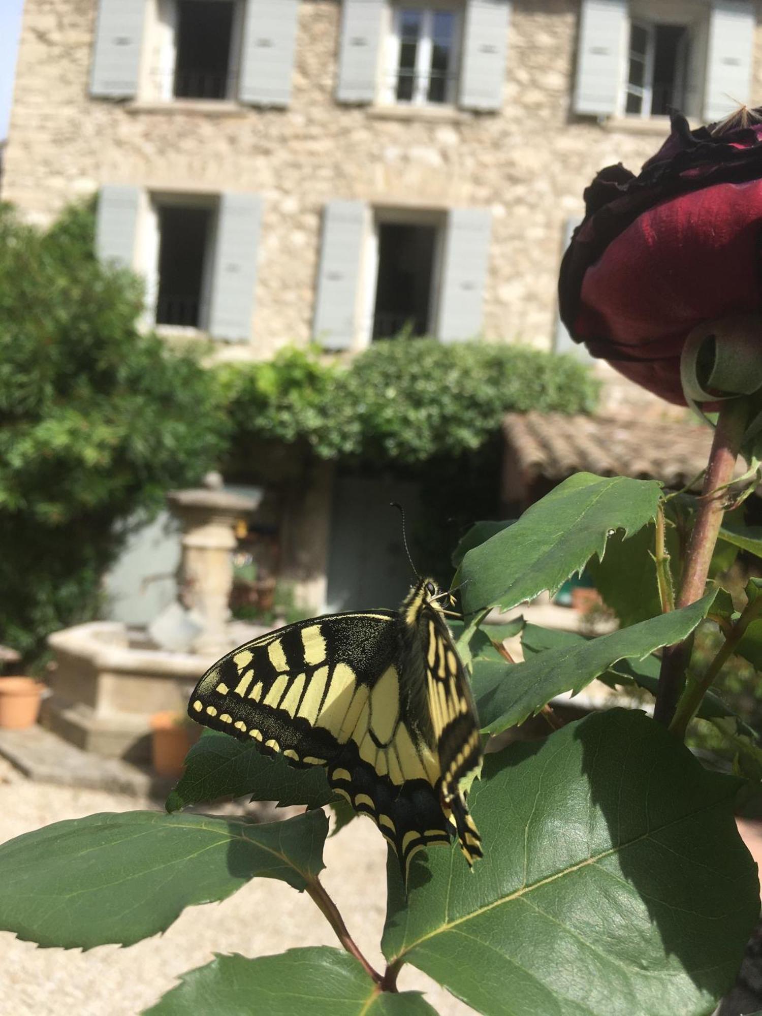 La Figuiere Fontaine De Vaucluse Bed & Breakfast ภายนอก รูปภาพ